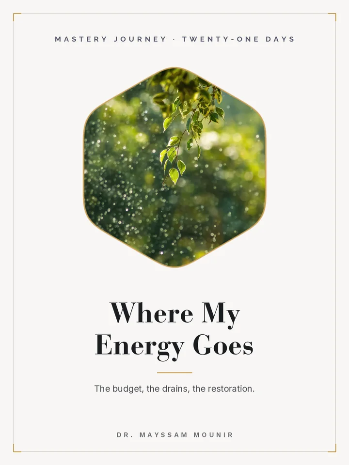 Where My Energy Goes